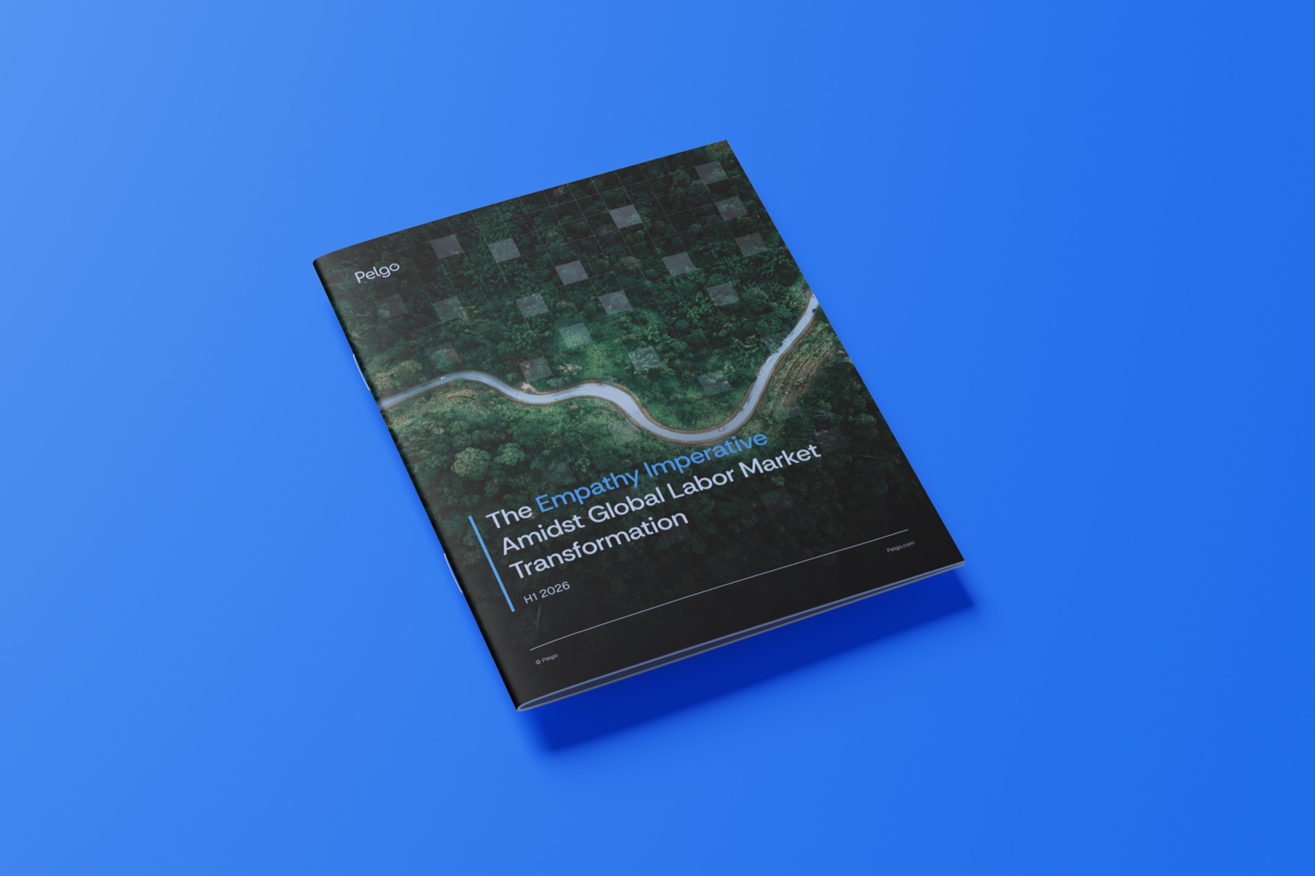 The Empathy Imperative whitepaper cover